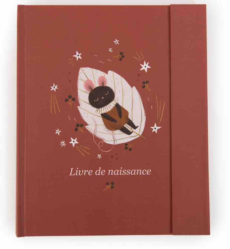 Livre de naissance Après La Pluie Moulin Roty