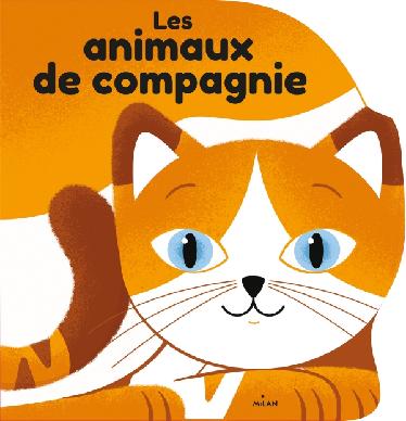 Les animaux de compagnie