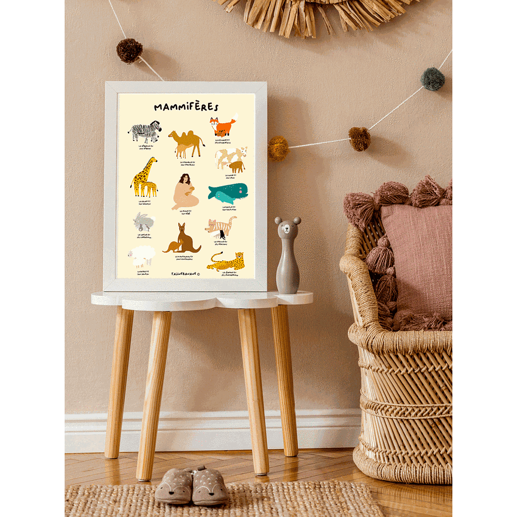 Affiche Mammifères A3 Tajinebanane