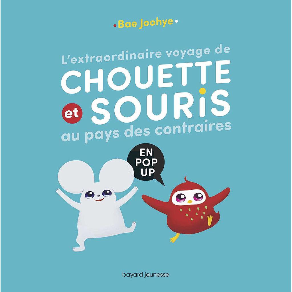 L'extraordinaire voyage de chouette et souris au pays des contraires