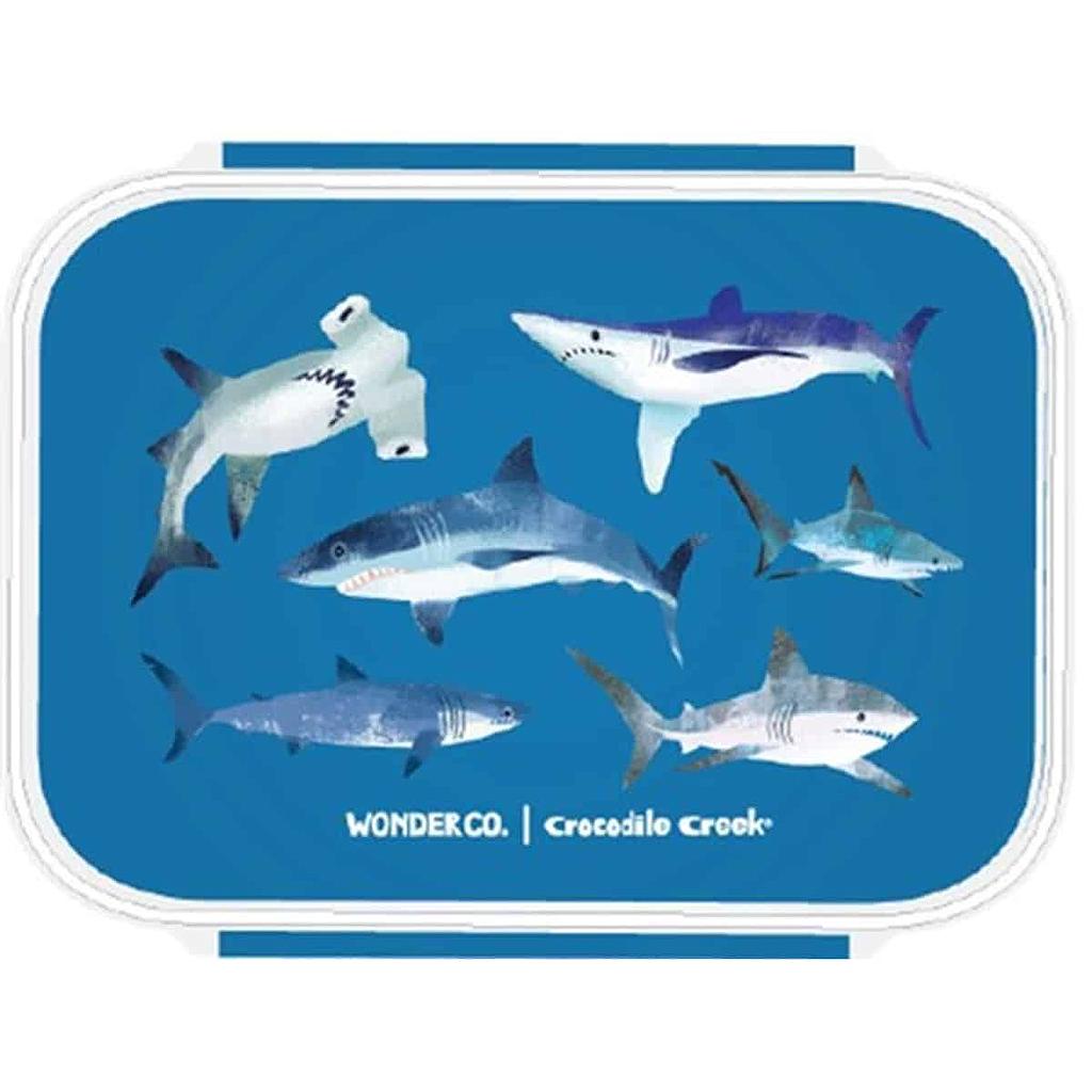 Bento Box Sharks Lunchbox