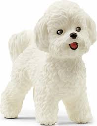 Bichon frisé Schleich