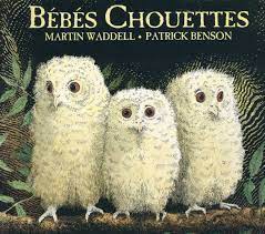 Bébés chouettes (tout carton)
